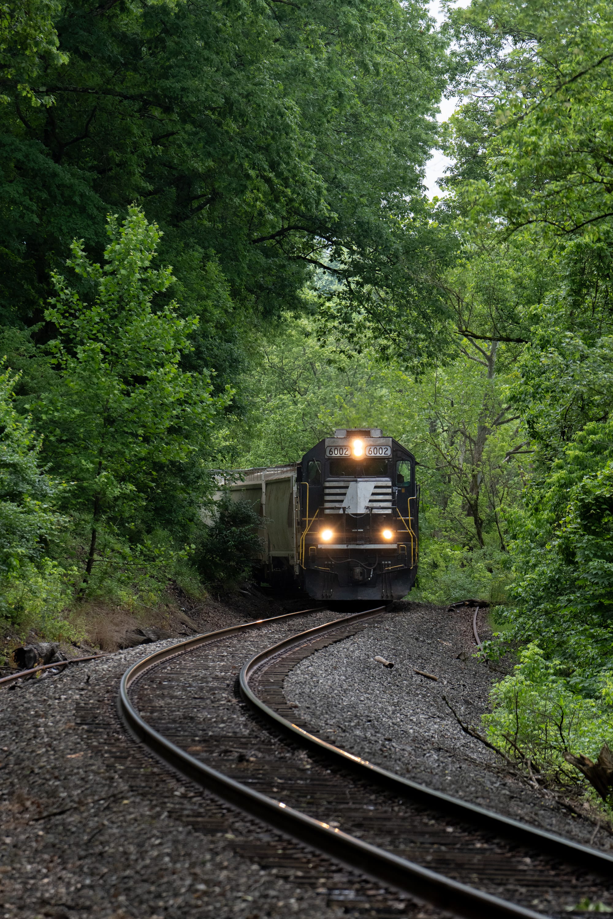 A locomotive emerges from deep green woods on a curving track.