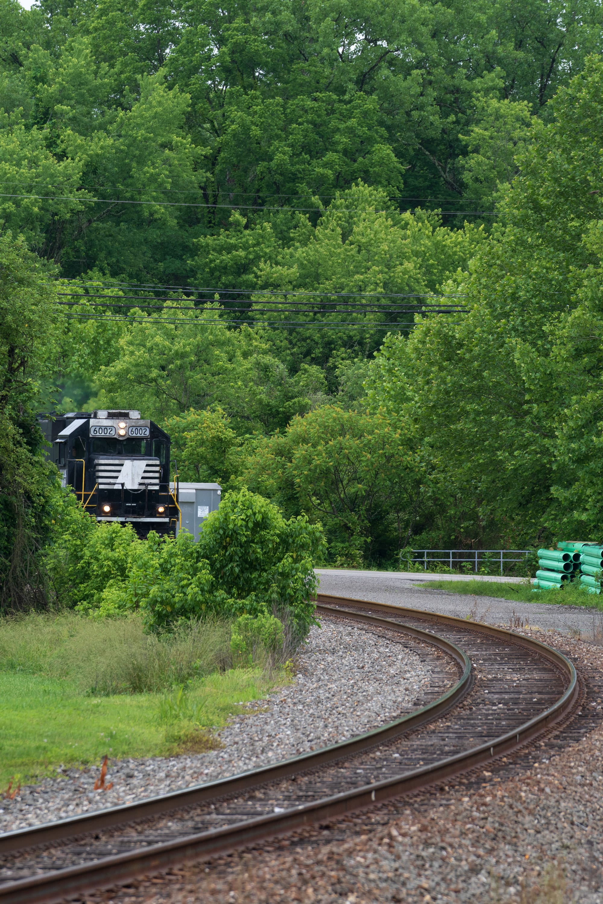 A locomotive appears through the trees beyond a sweeping curve of track.